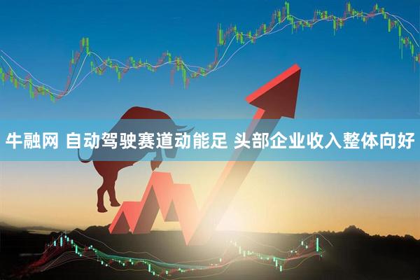 牛融网 自动驾驶赛道动能足 头部企业收入整体向好