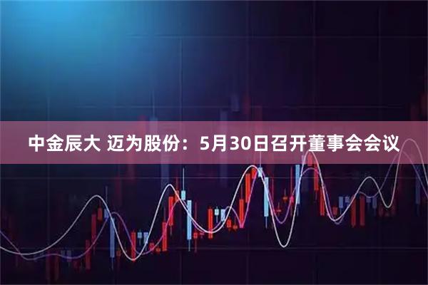 中金辰大 迈为股份：5月30日召开董事会会议