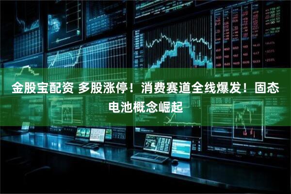 金股宝配资 多股涨停！消费赛道全线爆发！固态电池概念崛起