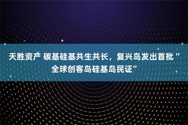 天胜资产 碳基硅基共生共长，复兴岛发出首批“全球创客岛硅基岛民证”